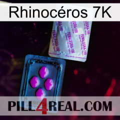 Rhinocéros 7K 37